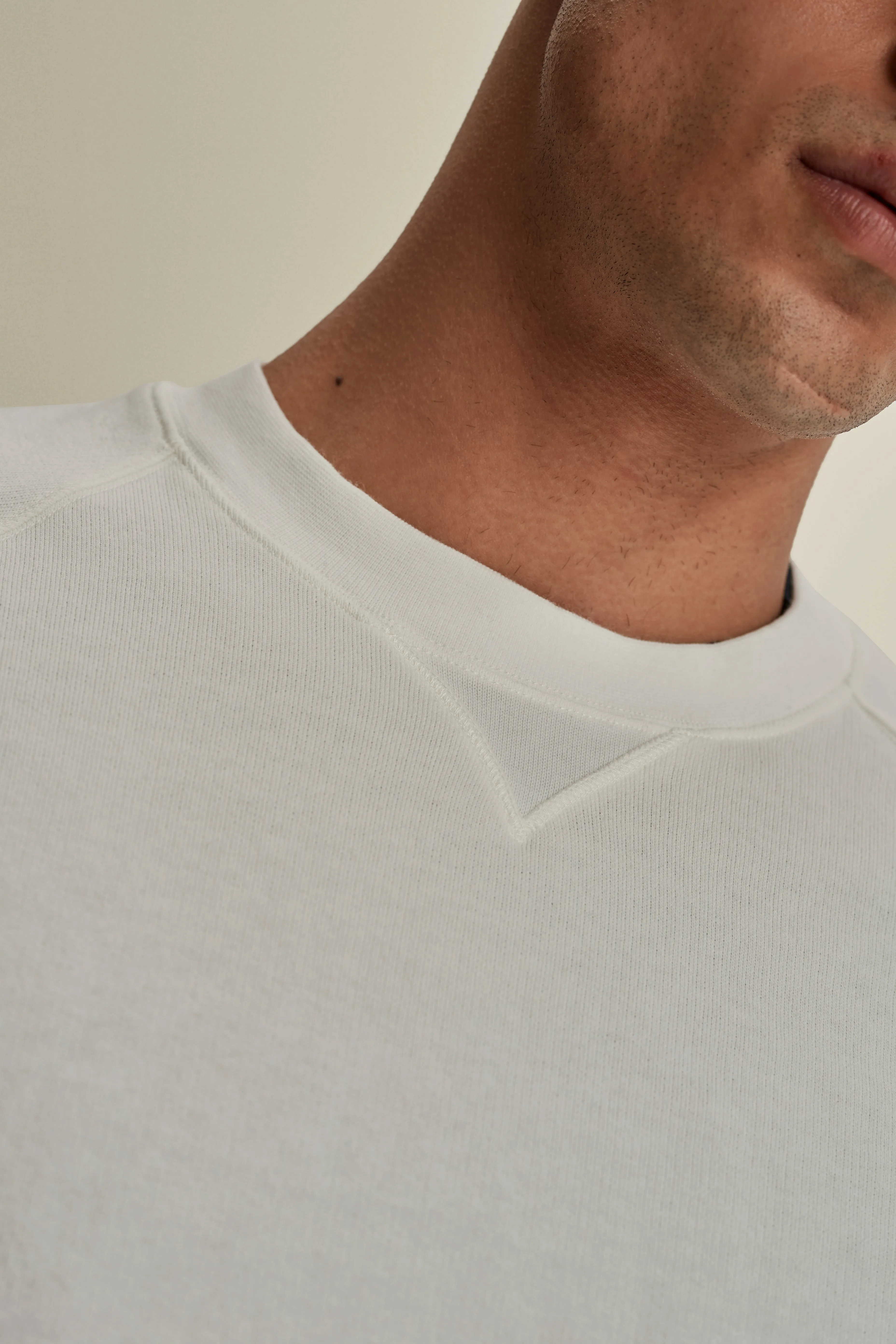 Loopback Cotton Raglan Sweater